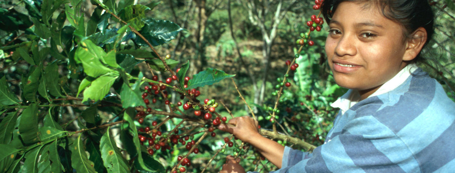 Kaffee_Peru_Nicaragua-GENTE_17_Foto_GEPA_A.Vargas